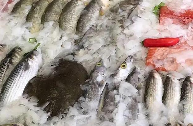 片冰機的水要加鹽嗎？